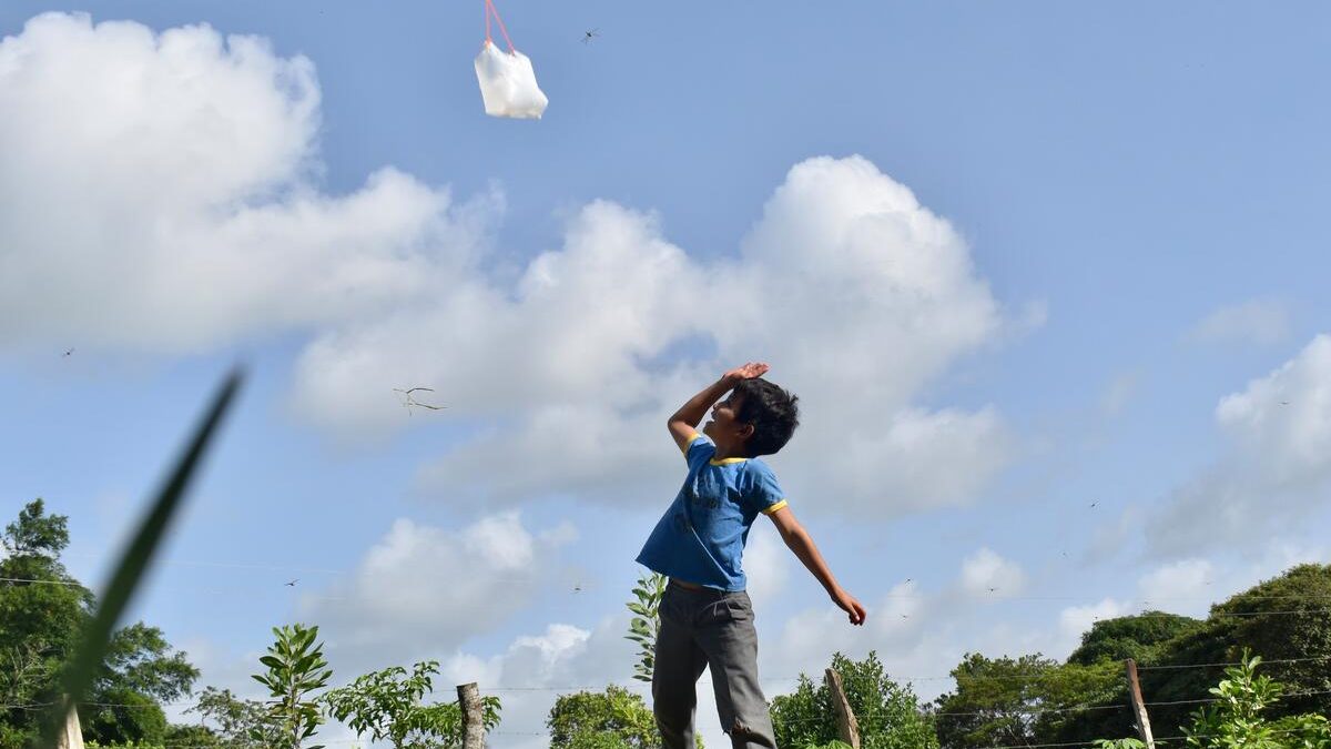 COP30: Alrededor de 136 000 niños y niñas siguen siendo afectados por desastres climáticos cada día a pesar de los compromisos adquiridos durante más de 30 años – Save the Children