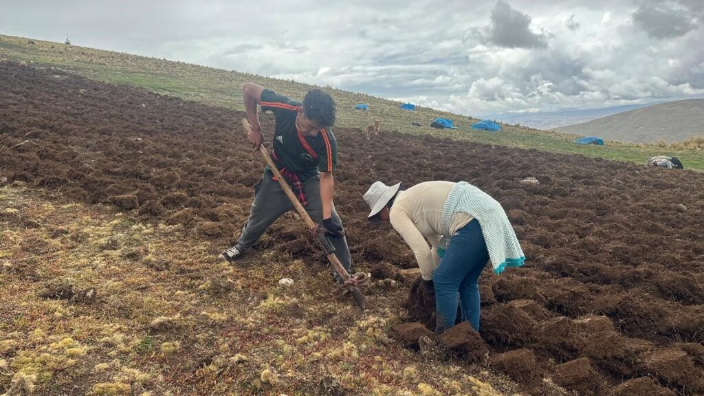Sequía de día, hielo de noche: El clima extremo en los Andes peruanos mata los cultivos y deja a las familias con hambre